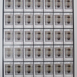 70 Api, 2016
